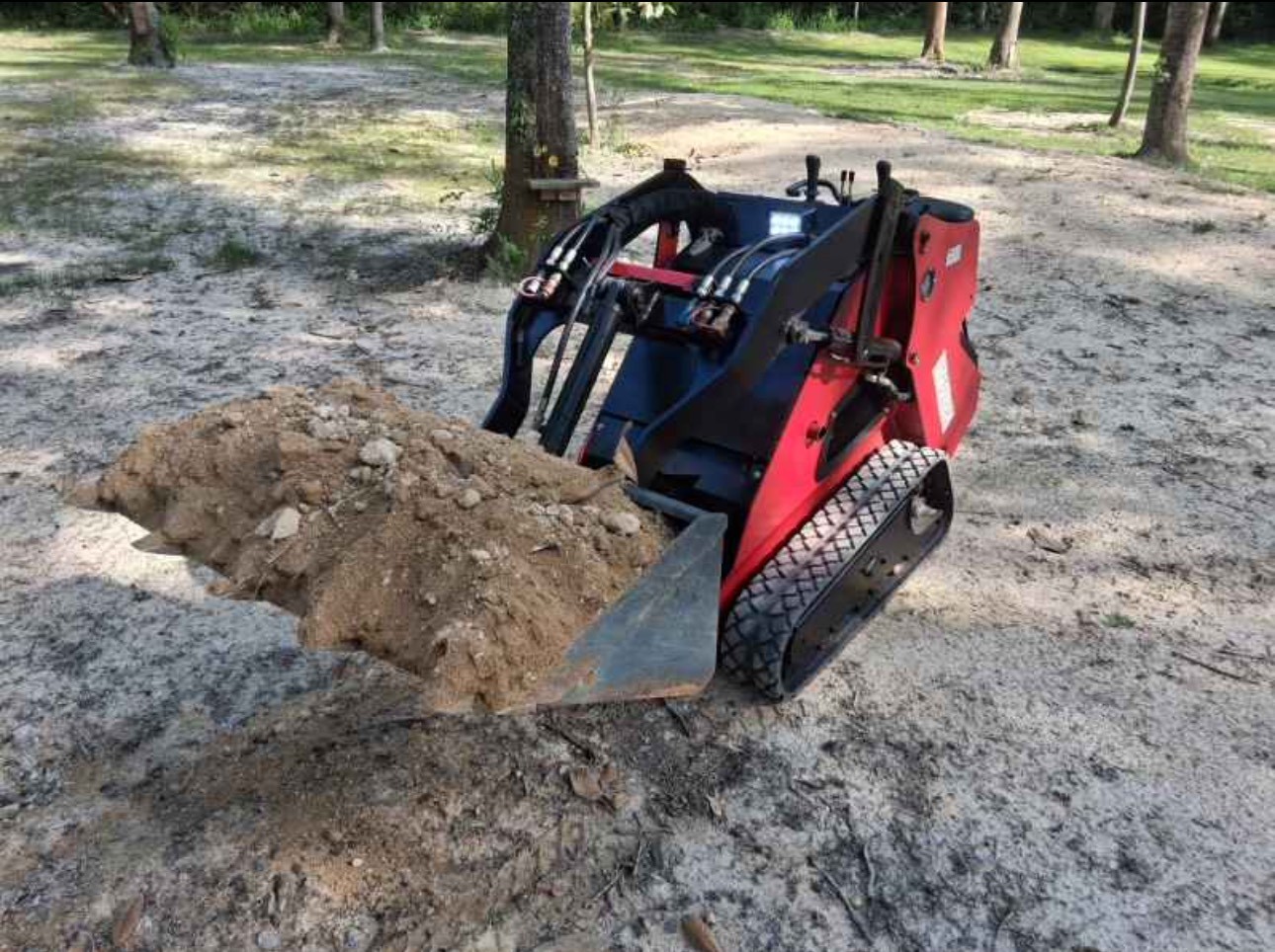 Dingo moving dirt
